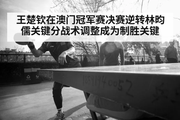 Lin Yun-ju table tennis